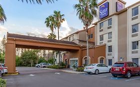 Sleep Inn near Busch Gardens - USF